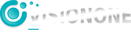 VISIONONE INDUSTRIES LIMITED